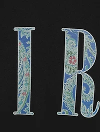 Core Paisley Logo T-Shirt