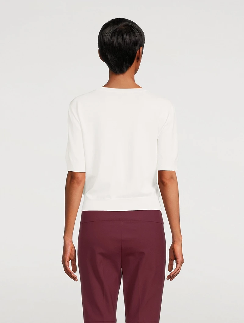 Shrunken Silk Top