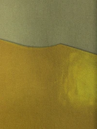 Pat Coat Liquid Light Print