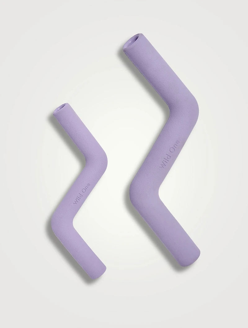 Bolt Bite Dog Toy