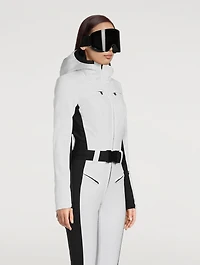 01 Ski Goggles