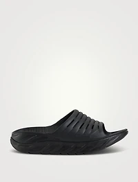 ORA Recovery Slides