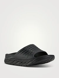 ORA Recovery Slides