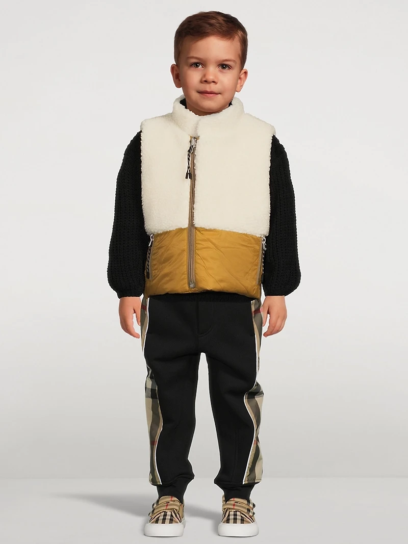 Down X Boar Reversible Mountain Vest