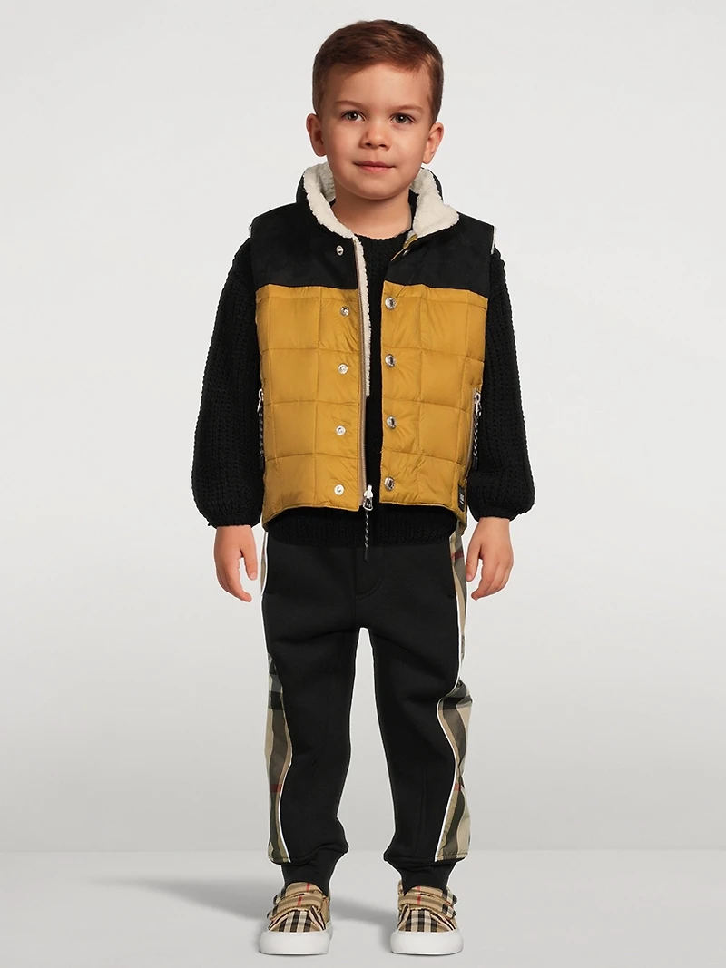 Down X Boar Reversible Mountain Vest