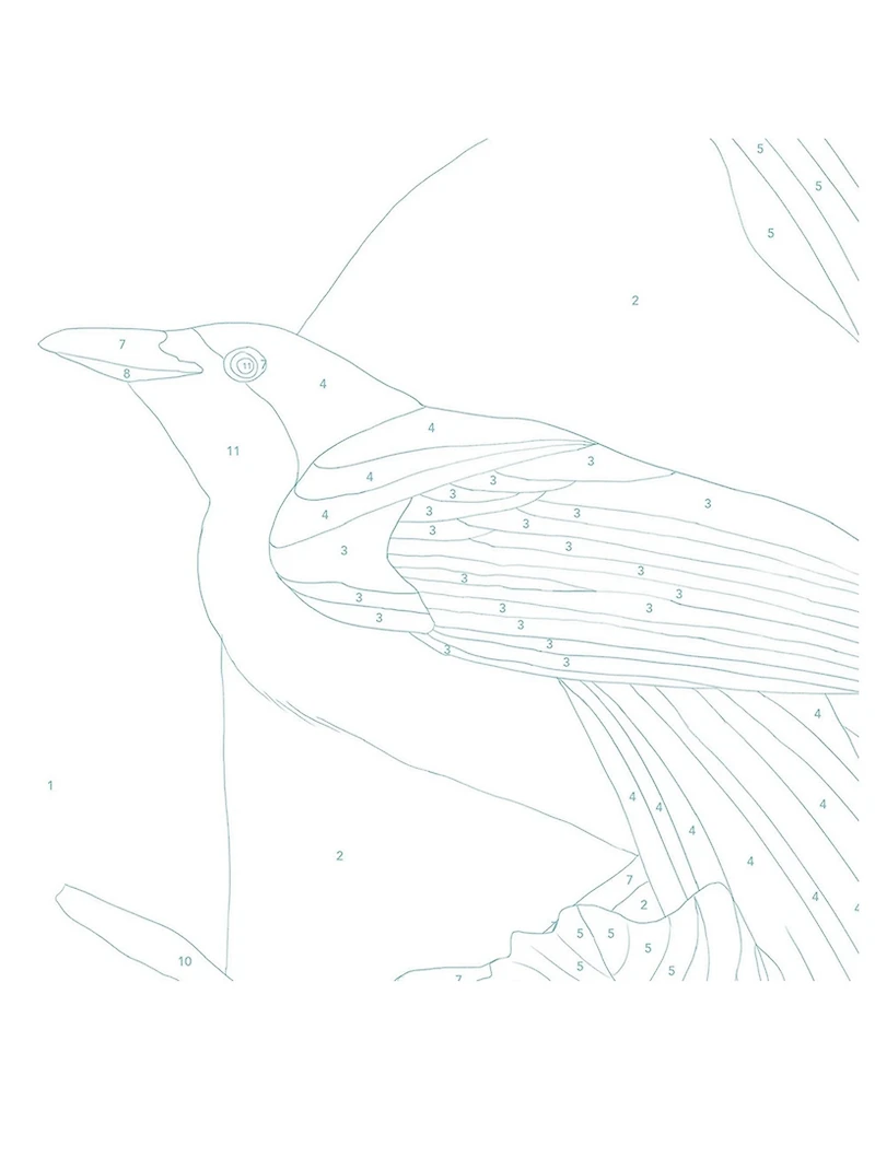 Bird-of-Paradise Paint By Numbers Kit
