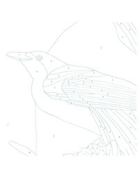 Bird-of-Paradise Paint By Numbers Kit