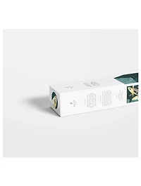 Budgies Paint By Numbers Kit