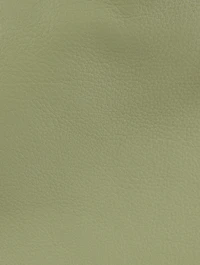Bourse Leather Clutch