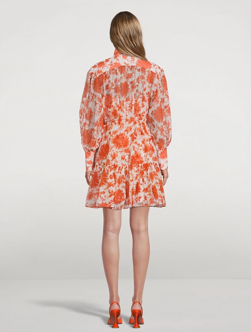Postcard Lantern Sleeve Mini Dress Floral Print