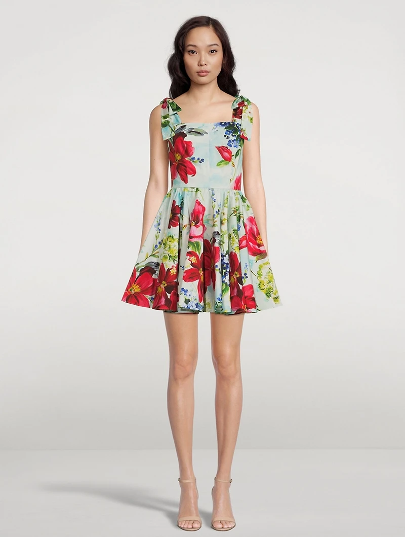 Poplin Mini Dress Pictoral Garden Print
