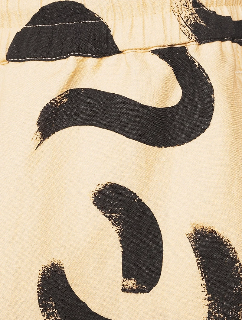 Brush Stroke Shorts