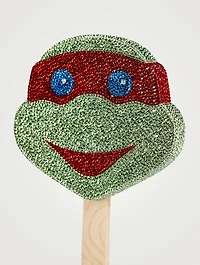 Ninja Turtle Pop With Crystals