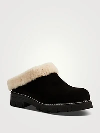 Always Shearling-Lined Suede Mules