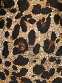 Mini Skirt Leopard Print