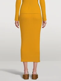 Wool And Cashmere Knit Tube Skirt
