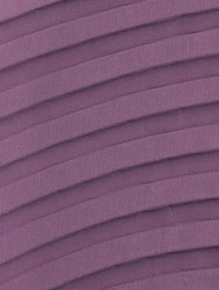Silence Pleats Top