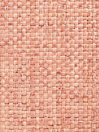 Mini Falabella Raffia Tote Bag