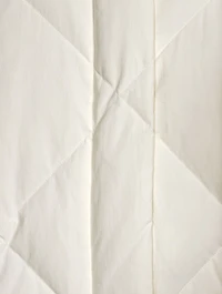 Anissa Oversized Quilted Down Coat