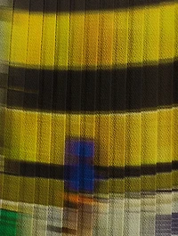 Sarean Printed Pleated Midi Skirt