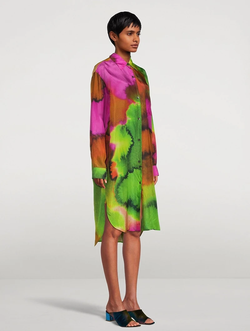 Dayley Printed Silk Shirt Dress