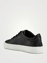Clean 90 Bird Leather Sneakers