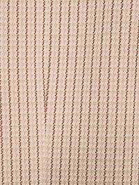 Staple Blazer Check Print