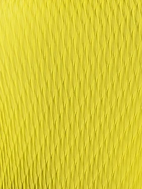 Rhombus Pleats Top