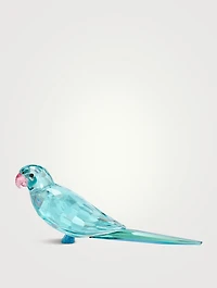 Jungle Beats Parakeet Figurine