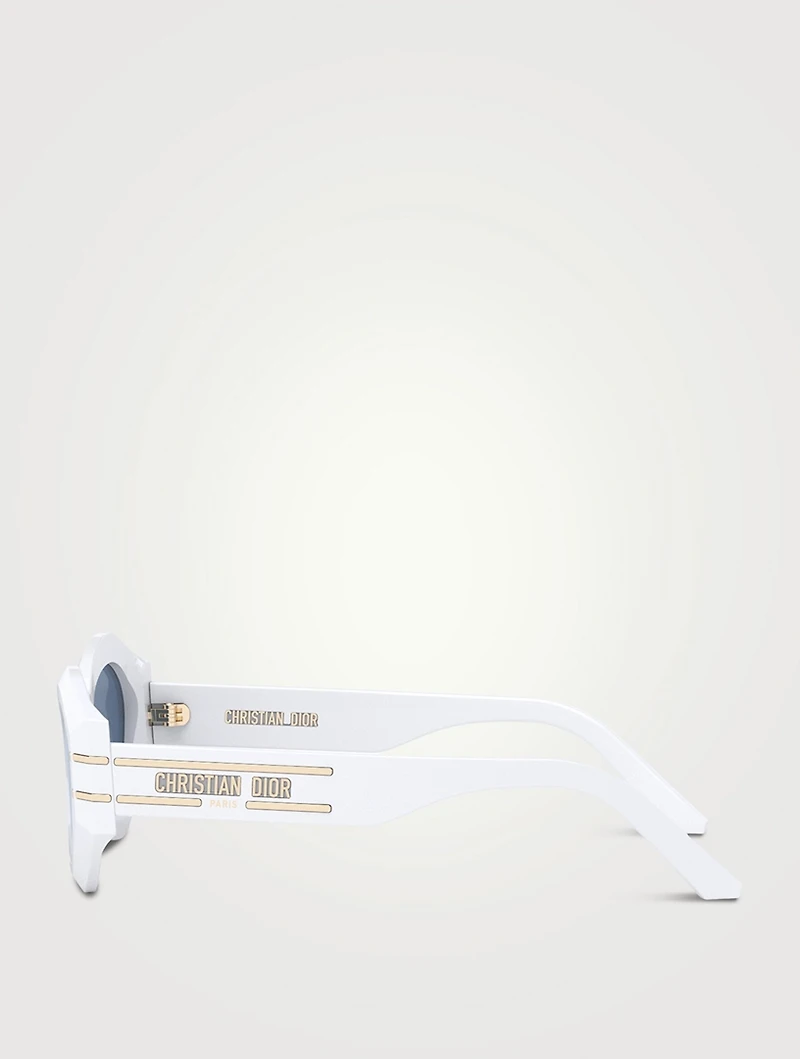 DiorSignature B1U Cat Eye Sunglasses
