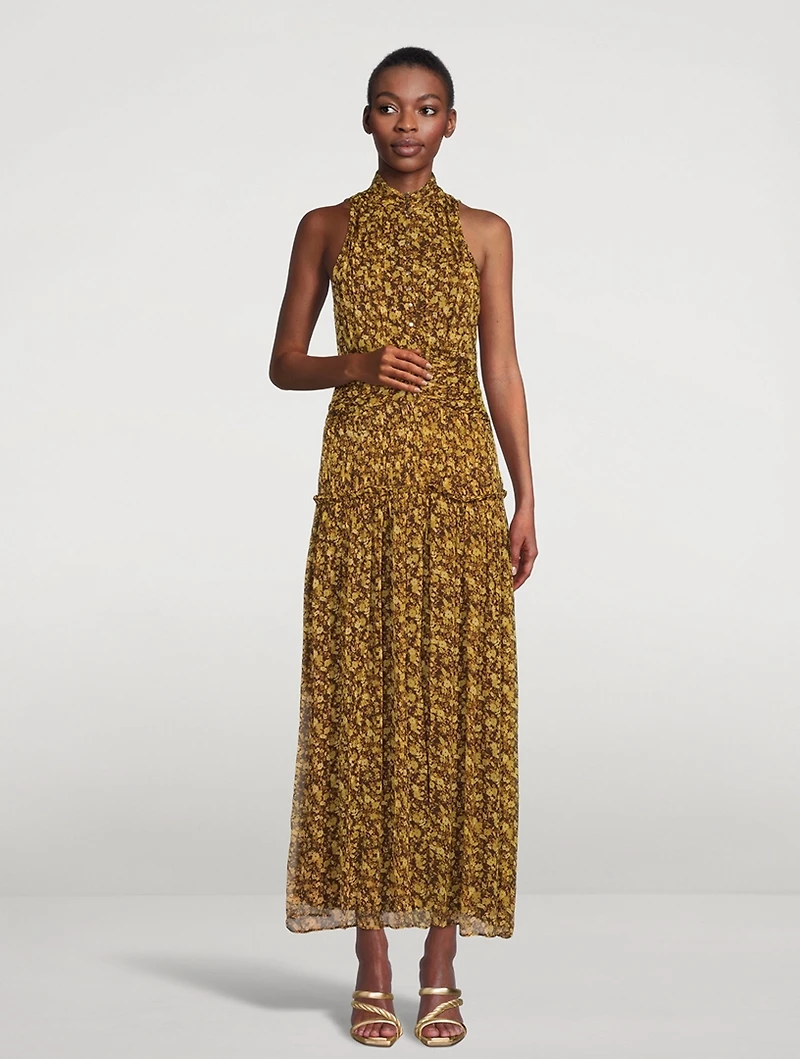 Carmela Printed Chiffon Dress