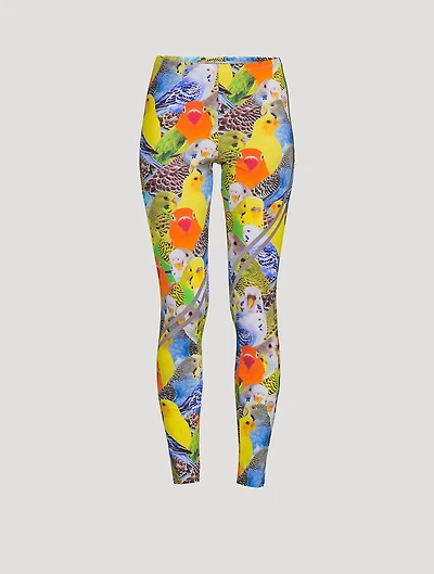 Leggings Parrots Print