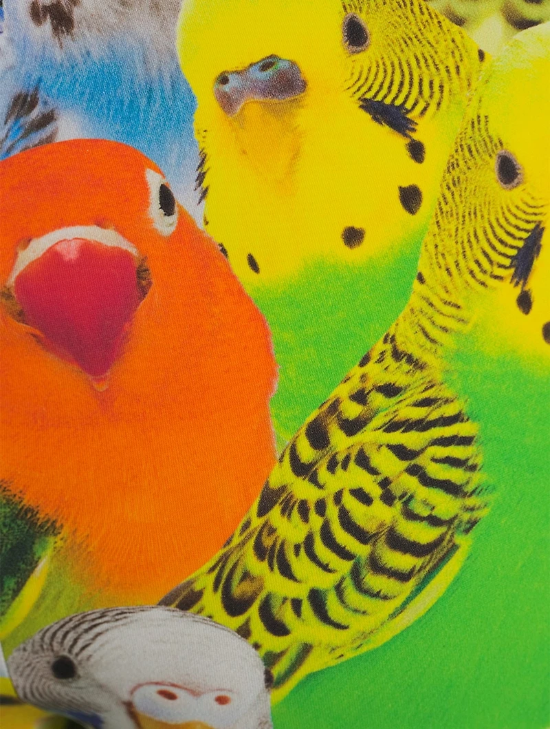 Leggings Parrots Print