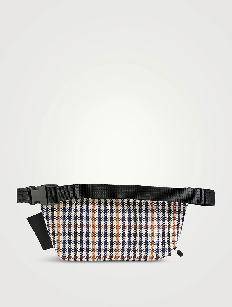 Le Pliage Collection Belt Bag