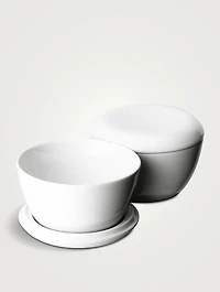 Switch Bowl