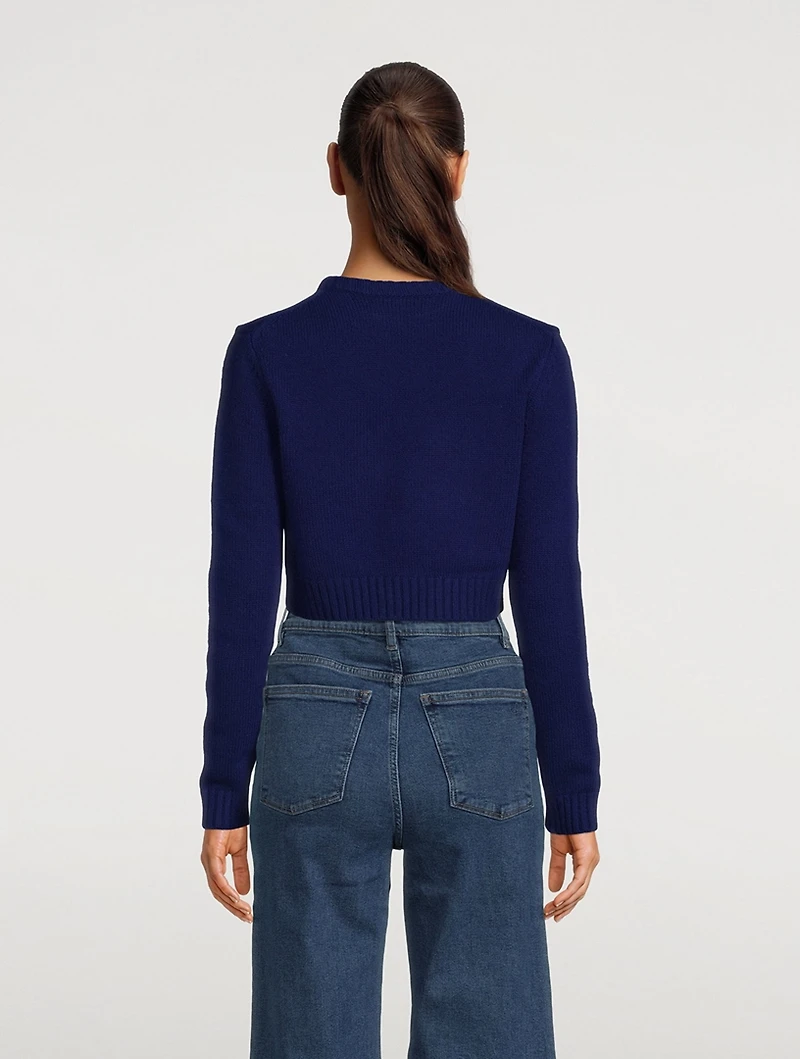 Embleme De Caza Wool And Cashmere Sweater