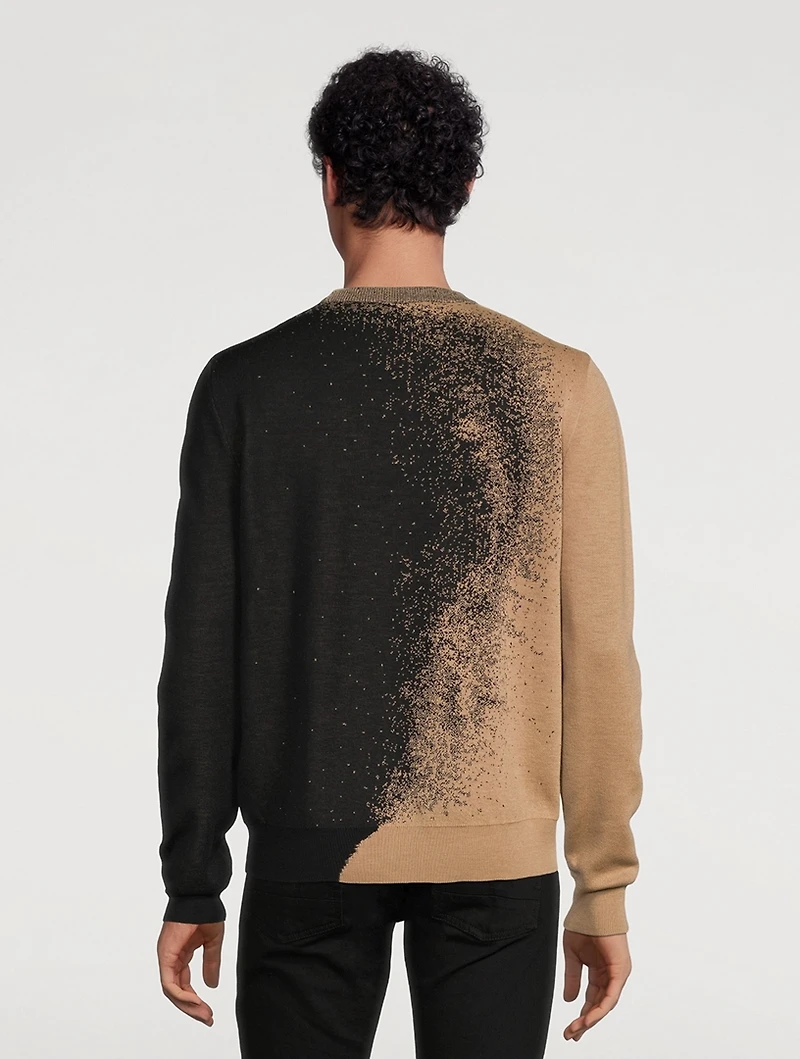 Skull Wool Jacquard Sweater