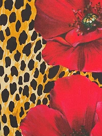 Cotton T-Shirt Poppy Print