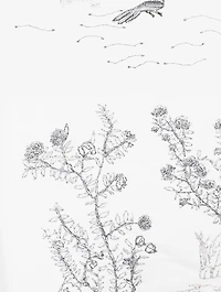 Sketchy Stitch Floral Toile Shirt