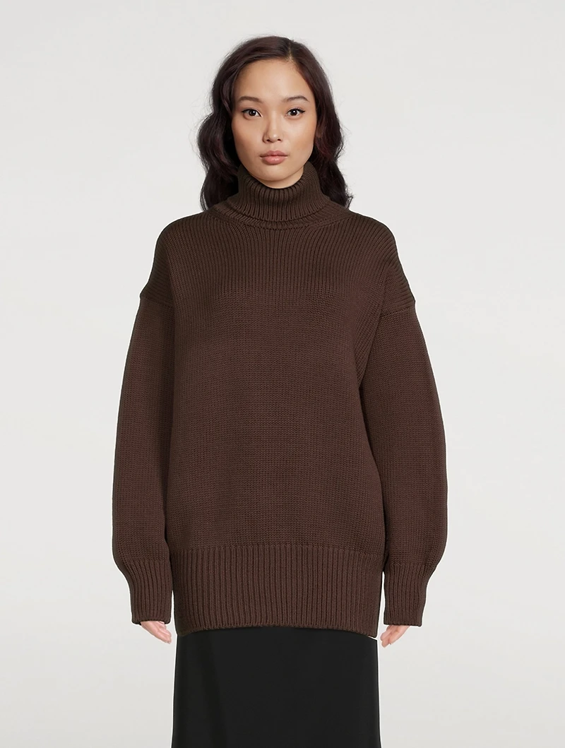 Ludo Turtleneck Sweater