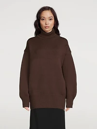 Ludo Turtleneck Sweater
