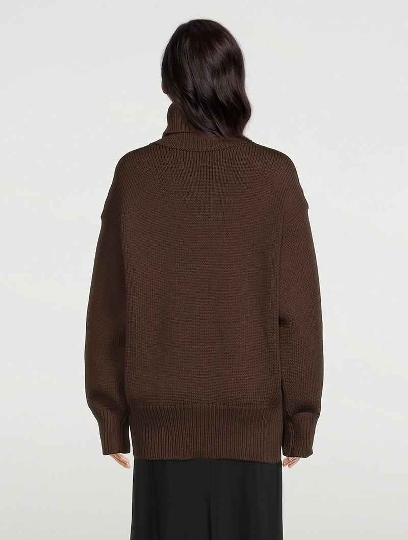 Ludo Turtleneck Sweater