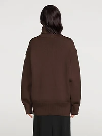 Ludo Turtleneck Sweater