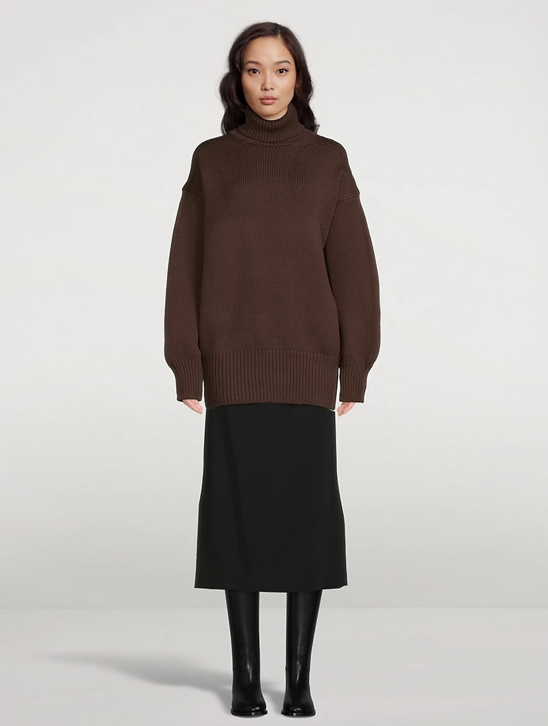 Ludo Turtleneck Sweater