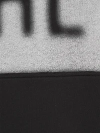 Blur Logo Hoodie