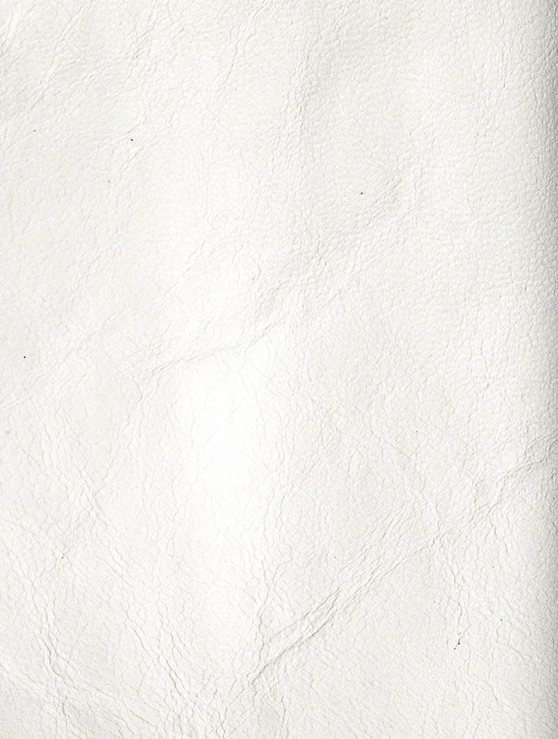Larma Leather Sleeveless Turtleneck Bib