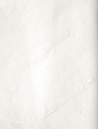Larma Leather Sleeveless Turtleneck Bib