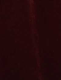 Doss Velvet Slip-Dress