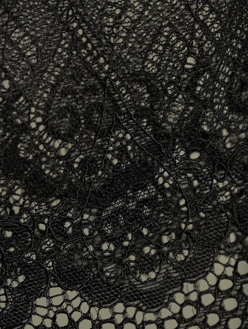 Cibbe Lace Hipster Brief