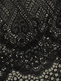 Cibbe Lace Hipster Brief